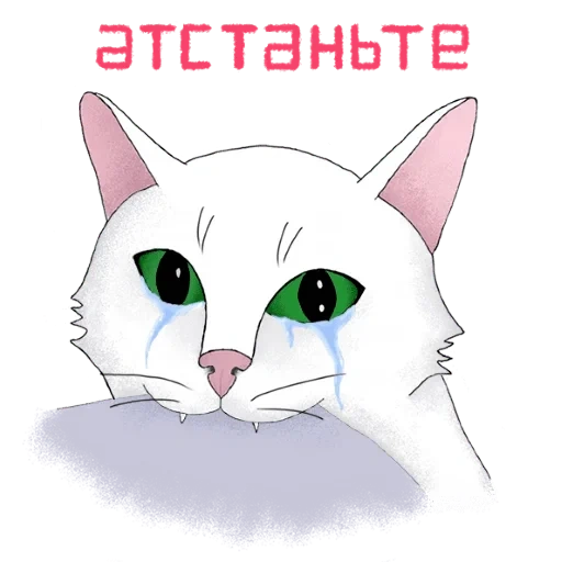 Telegram sticker  cat, cat, cat, cat's eye, white cat warrior,