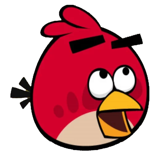 Telegram sticker  engley bauer, angry birds, angry birds, angry birds red, red bird girl engeli boz,
