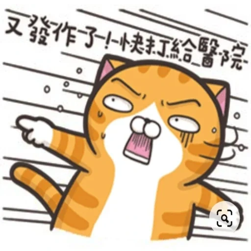 Telegram sticker  cat, cat, joke, pop cat,