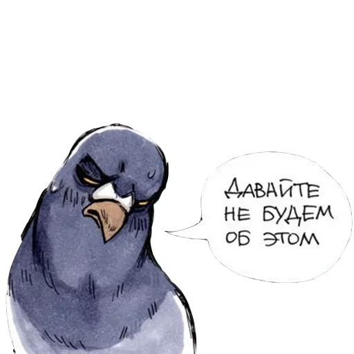 gennady pigeon