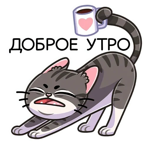 Telegram sticker  cat, cats, mulkes, good morning, good morning cat,