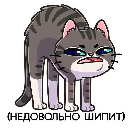 Telegram sticker  cat, cat, mulkes, good morning,
