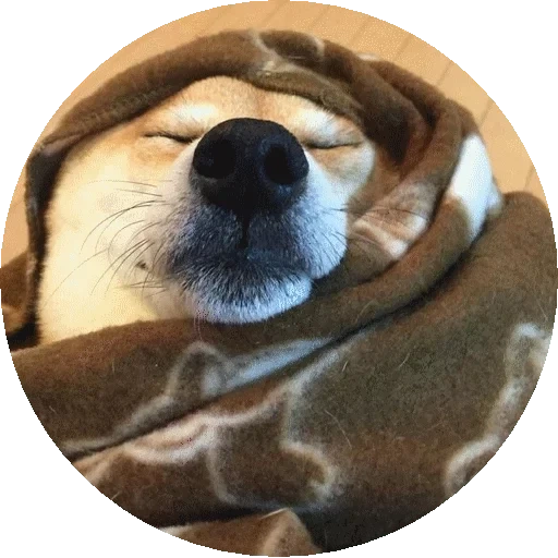 Telegram sticker  chaiba, dog, dog meme, smiling dog,