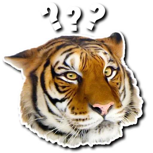 Telegram sticker  tiger, tiger muzzle, tiger watsap, realistic tiger,