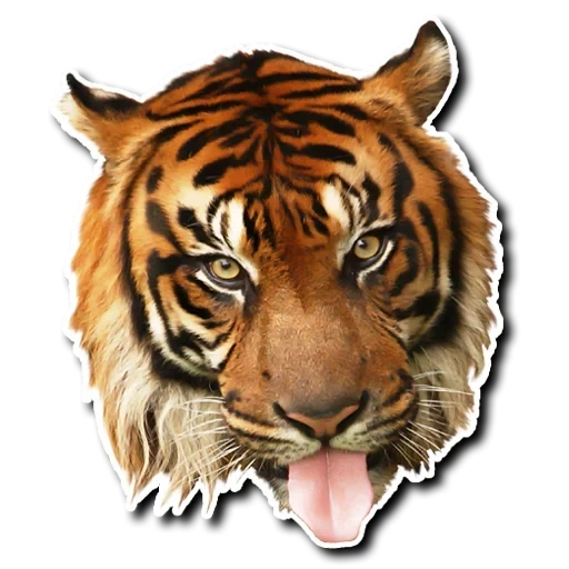 Telegram sticker  leo tiger, tiger muzzle, muzzle tiger, tiger head, tiger's head,