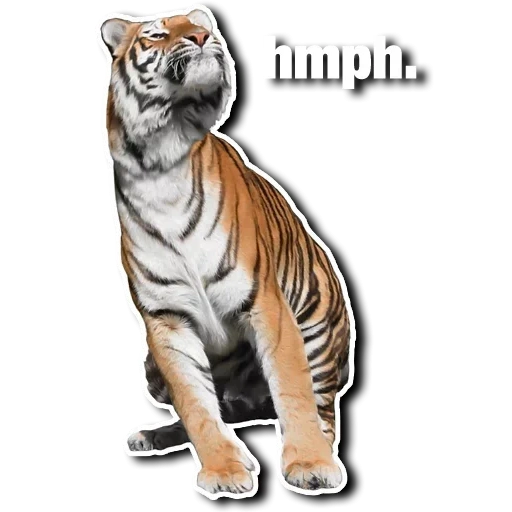 Telegram sticker  tiger, the tiger is alive, tiger psd, sitting tiger, tiger with a white background,