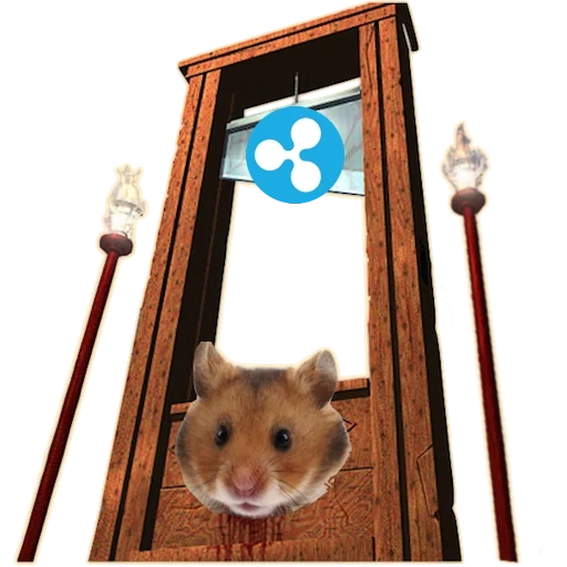 Telegram sticker  hamster, hamper, the hamster is big, syrian hamster, syrian hamster gold,
