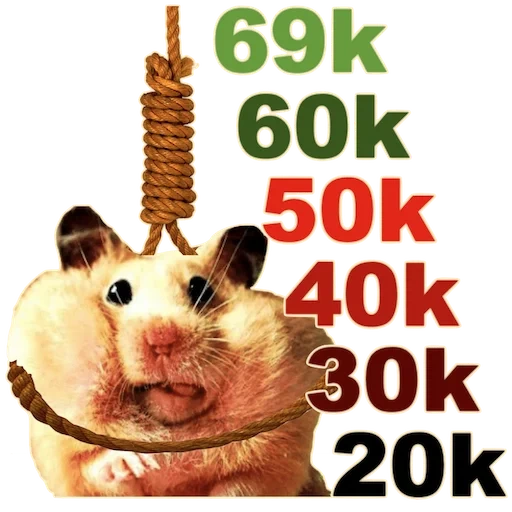 Telegram sticker  hamster, hamster with cheeks, funny hamsters, cute animals, the hamster is funny,