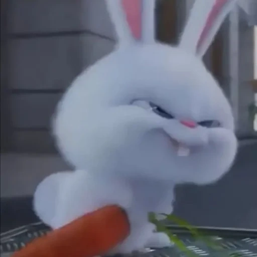 Telegram sticker  evil bunny, evil bunny, rabbit snowball, little life of pets rabbit, secret life of pets hare snowball,