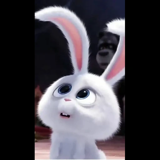 Telegram sticker  bunny, bunny, cartoon rabbit secret life, the secret life of pets, the secret life of pets is evil rabbit,