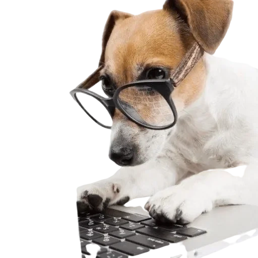 Telegram sticker  the dog is a laptop, dog at the computer, smart dog with a computer, dog at the computer drawing,
