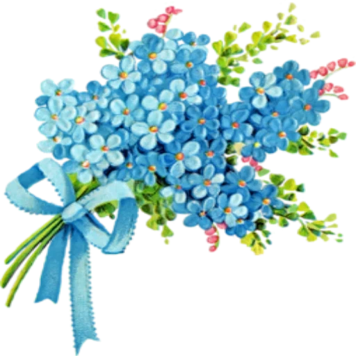 Telegram sticker  forget me not, bouquet of forget-me-not, forget-me-not flower, forget me not on a white background, forget me not with transparent background,
