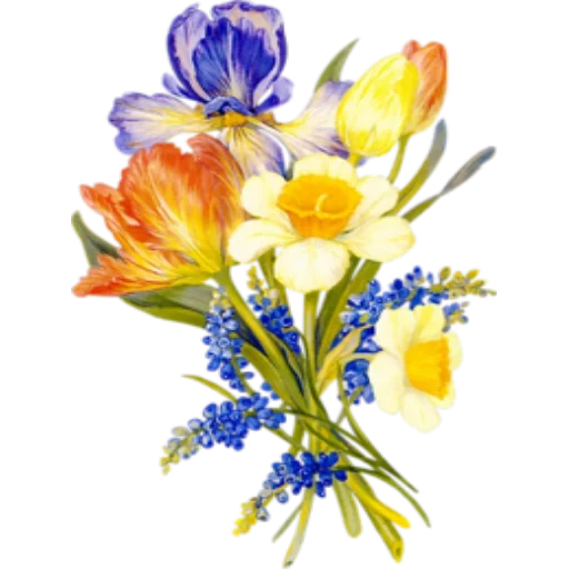 Telegram sticker  a bunch of flowers, flower clip, watercolor flower, against a transparent background flowers, mimosa tulip watercolor painting,