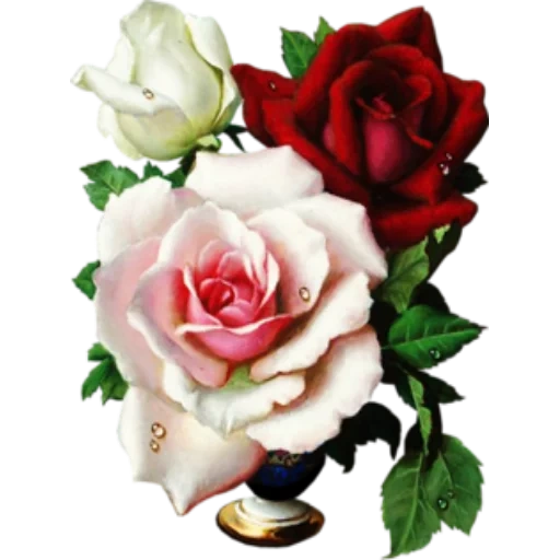 Telegram sticker  rose painting, rose red, beautiful rose, rose painting, flowers beautiful roses,