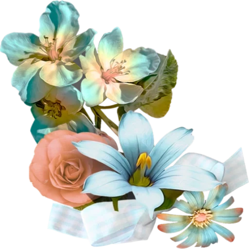 Telegram sticker  flowers, flower clip, flower watercolor, flower illustration, scissors flowers are vivid,